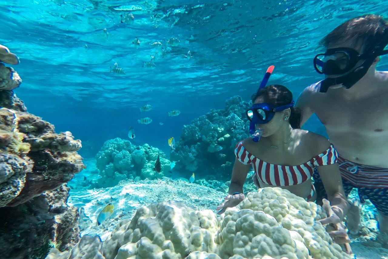 Ninamu Resort Tikehau Εξωτερικό φωτογραφία